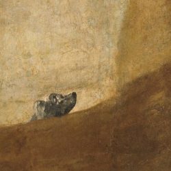 Goya dog buried in sand