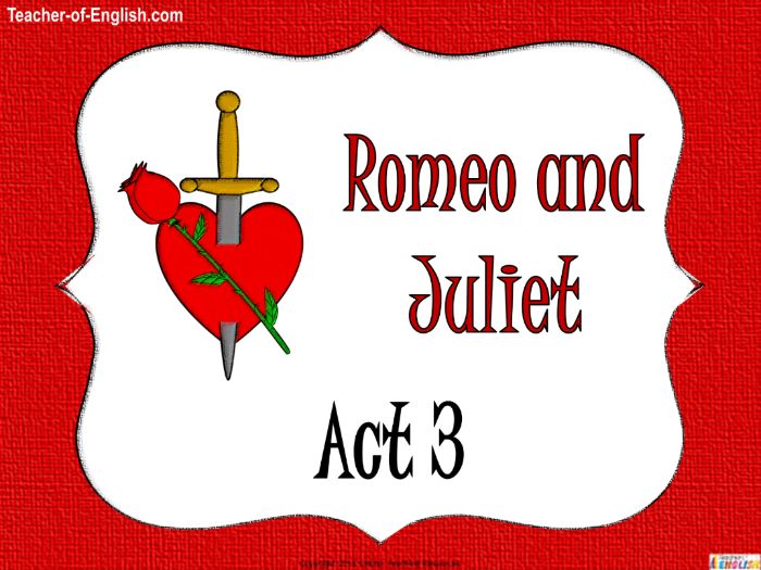 Romeo and juliet act 1 study guide