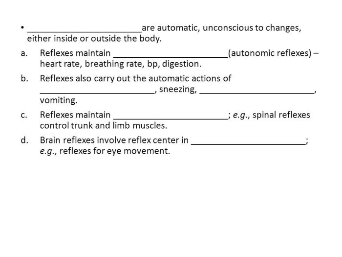 Human reflex physiology exercise 21