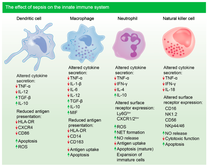 An abnormal heightened immune response is a characteristic of hiv