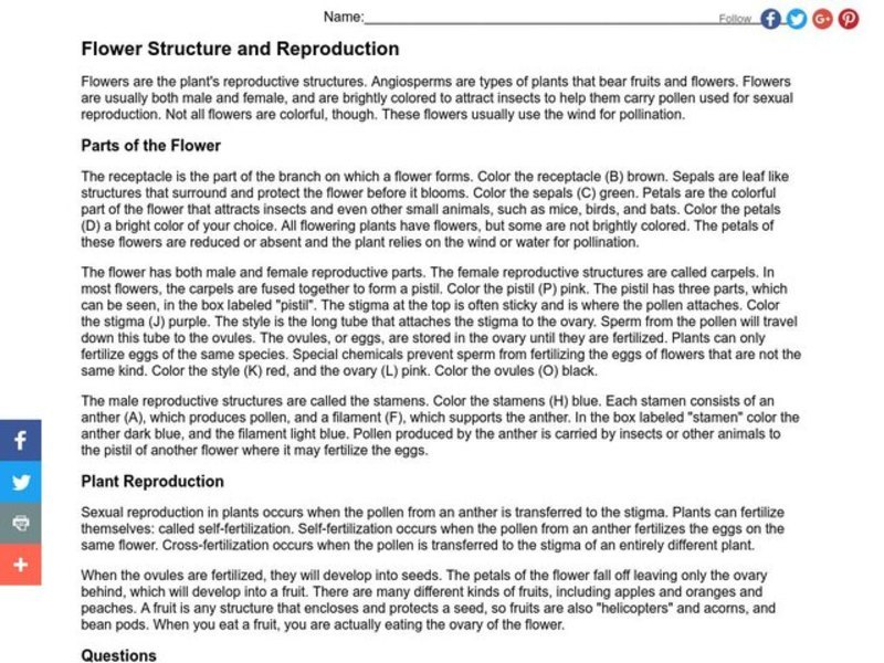 Flower structure and reproduction worksheet answers