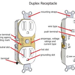 A duplex receptacle is a single receptacle by definition