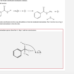 Examination of the fischer esterification mechanism continues