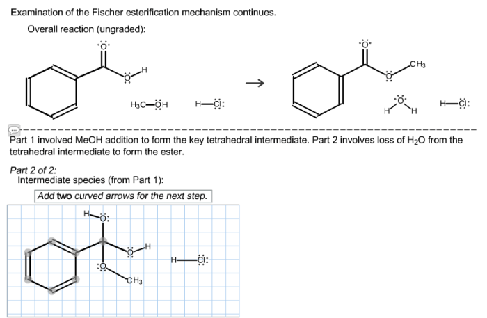 Examination of the fischer esterification mechanism continues