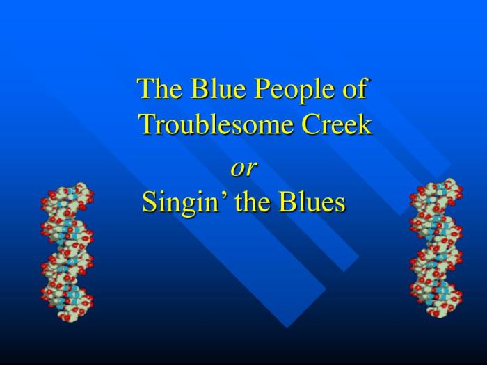 The blue people of troublesome creek answer key